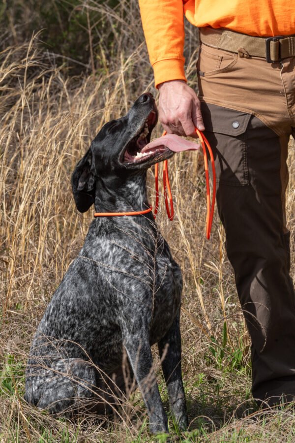 Ultra Trainer Slip Lead – 6ft Slip Leash with Keeper (Veteran-Made) - Image 2