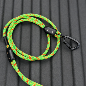 DryLine Scout Lead